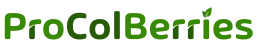ProColBerries