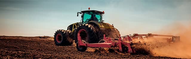 Preparacion del terreno para cultivos de arandano