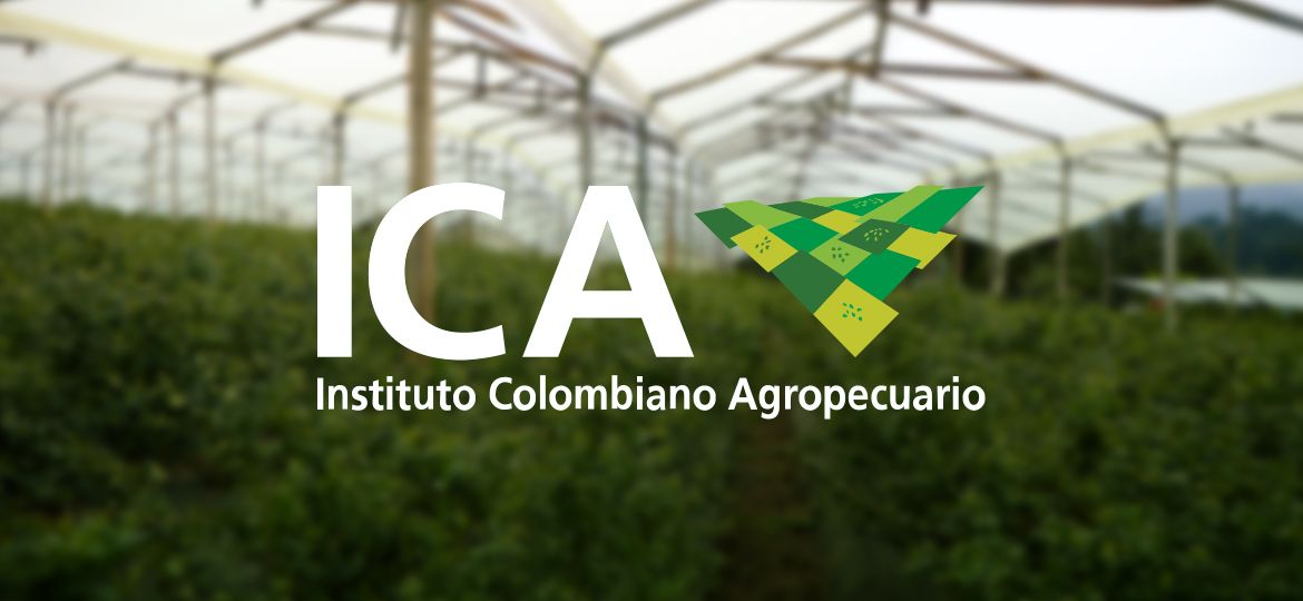 Certificado de registro ICA: Garantia de Calidad