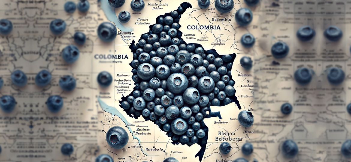 Producción de cultivos de arandanos en Colombia
